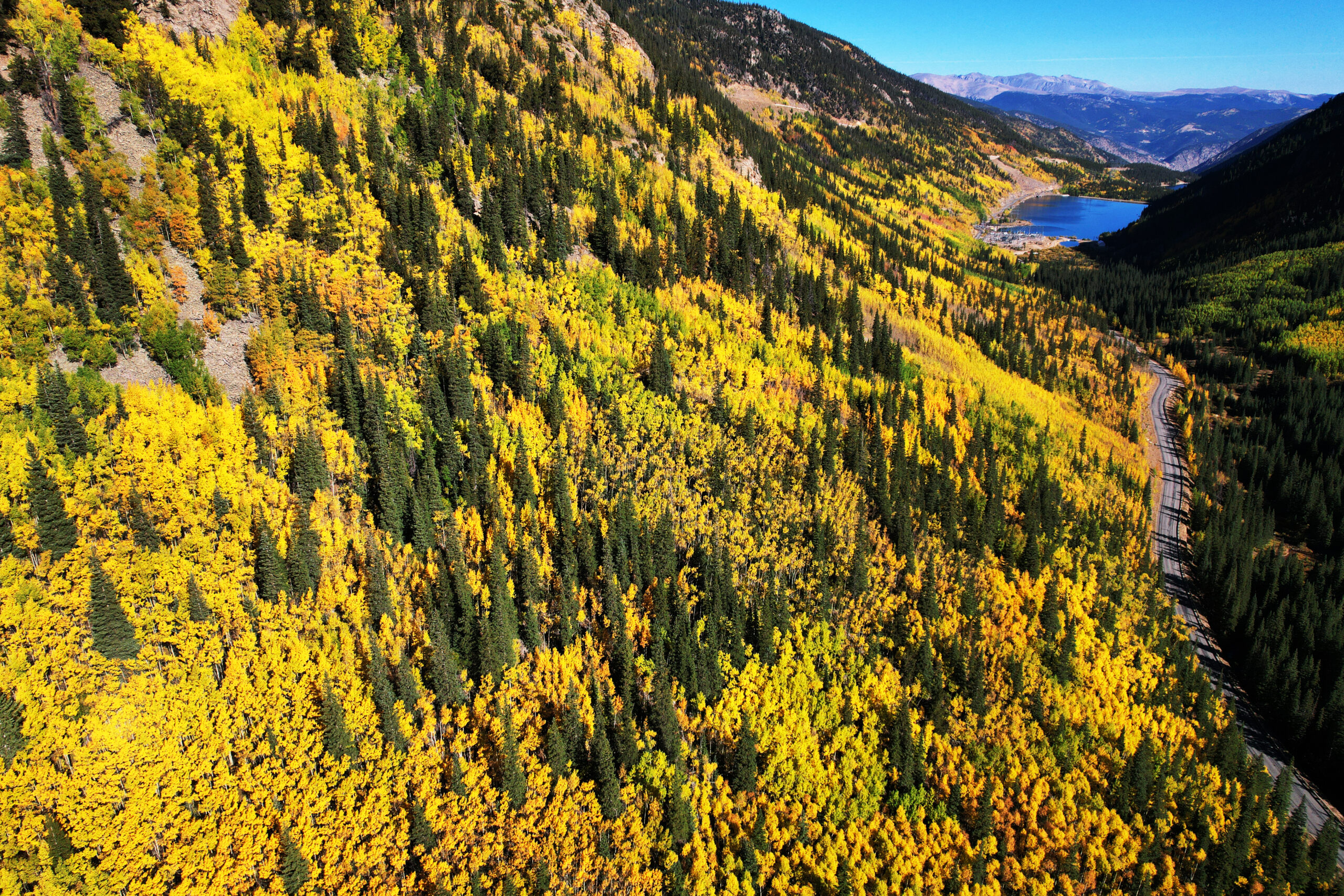 GEORGETOWN, CO - SEPTEMBER 24 : Fall colors seen at Guanella Pass by Georgetown, Colorado on Friday...