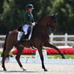 VERSAILLES, FRANCE - JULY 30: Abigail Lyle and horse Giraldo of Team Ireland compete in the Dressage Grand Prix Team and Individual Qualifier on day four of the Olympic Games Paris 2024 at Chateau de Versailles on July 30, 2024 in Versailles, France. (Photo by Mike Hewitt/Getty Images)