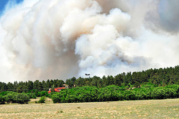 BLACK FOREST, CO - JUNE 12: In this handout photo provided by the U.S. Army, Pilots and crewmembers...