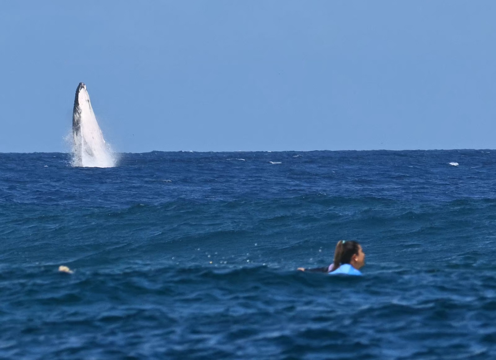 TOPSHOT - A whale breaches as Costa Rica's Brisa Hennessy (R) competes in the women's surfing semi-...