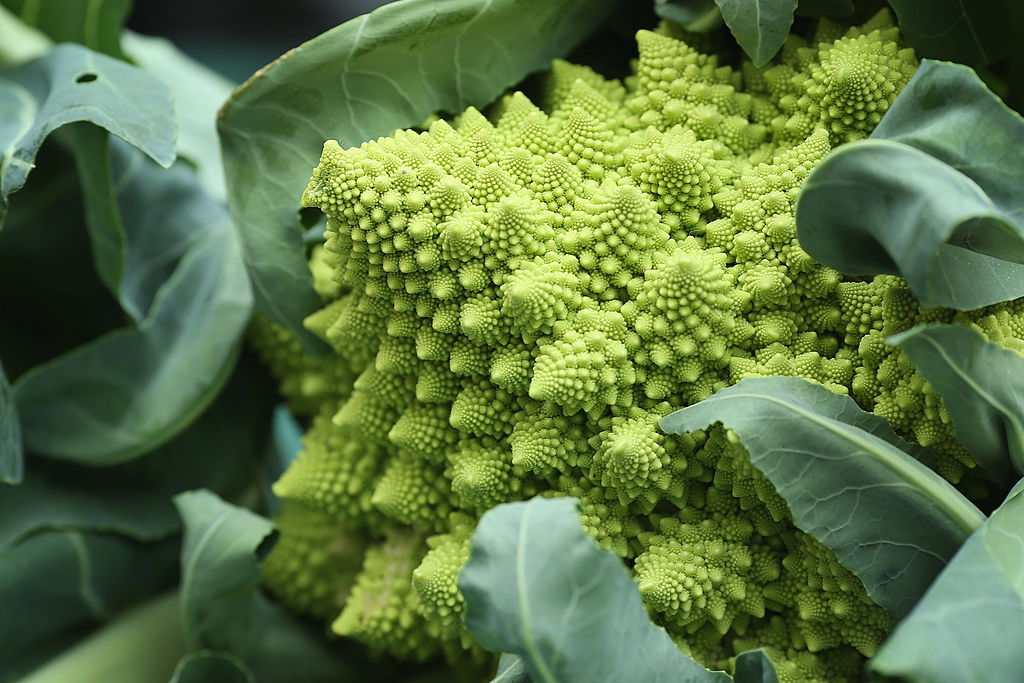 LONDON, ENGLAND - OCTOBER 09:  A Romanesque broccoli is displayed at the RHS (Royal Horticultural S...