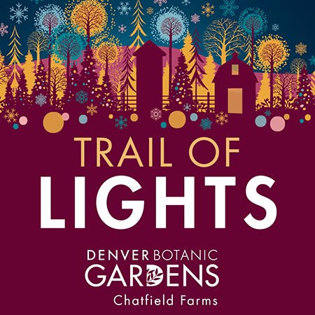 Trail of Lights