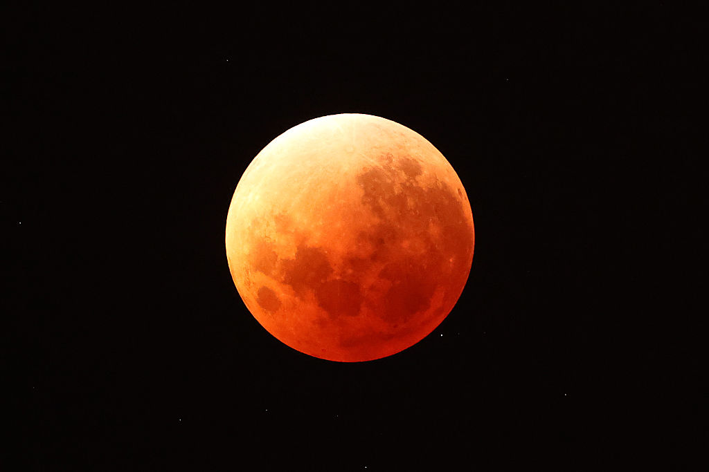 (Photo by Phil Walter/Getty Images)...