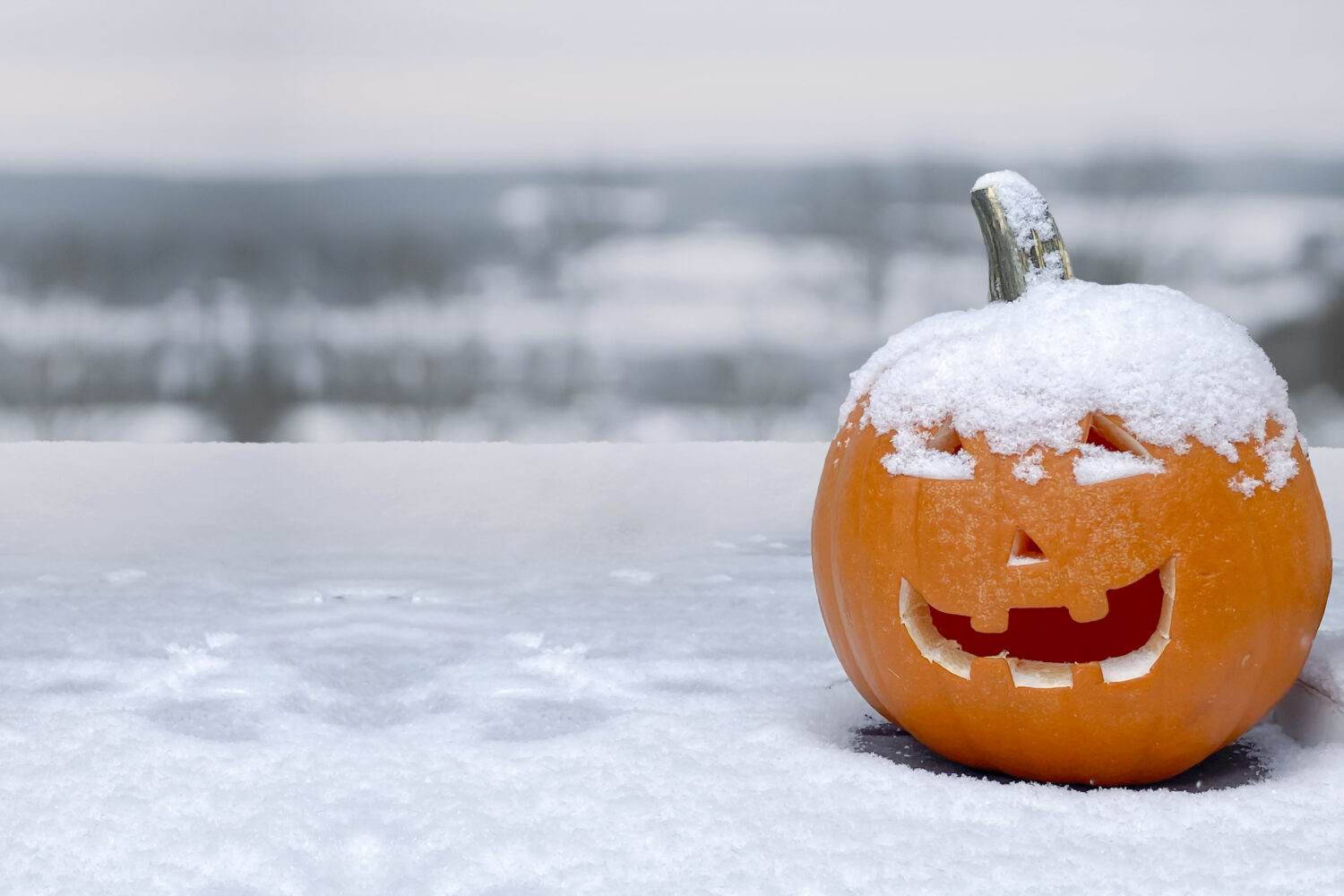 A jack-o'-lantern carved pumpkin during a snow fall during the fall. Concept: cold halloween. Snow ...