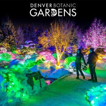 Denver Botanic Gardens Blossoms of Light