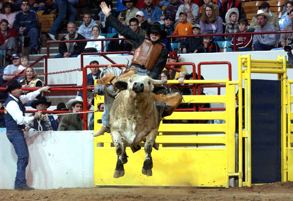 Get in free today at the National Western Stock Show
